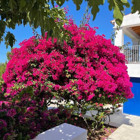 קאלה וואדלה Es Queixal - Can Canet Con Piscina Exterior Climatizada מראה חיצוני תמונה