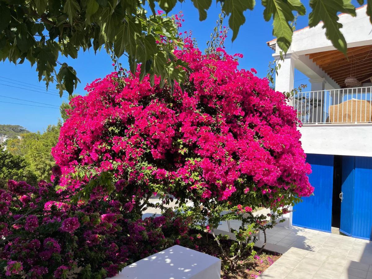 קאלה וואדלה Es Queixal - Can Canet Con Piscina Exterior Climatizada מראה חיצוני תמונה