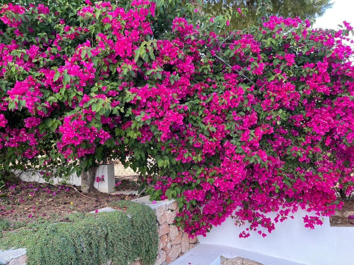 קאלה וואדלה Es Queixal - Can Canet Con Piscina Exterior Climatizada מראה חיצוני תמונה