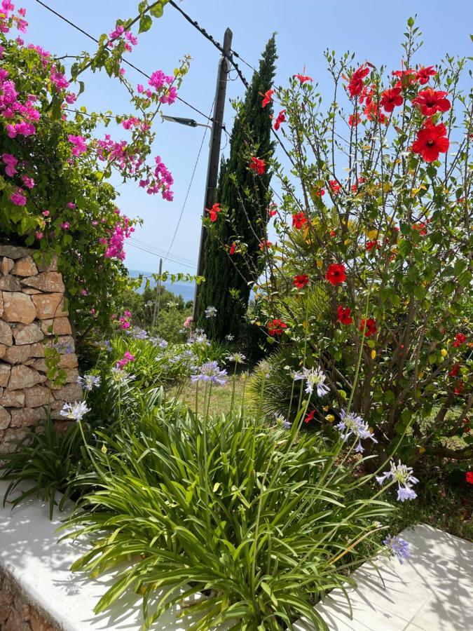 קאלה וואדלה Es Queixal - Can Canet Con Piscina Exterior Climatizada מראה חיצוני תמונה