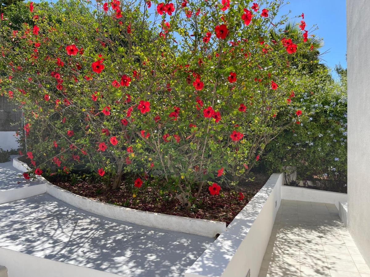 קאלה וואדלה Es Queixal - Can Canet Con Piscina Exterior Climatizada מראה חיצוני תמונה
